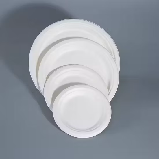 Pâte de bagasse biodégradable jetable entièrement dégradable à
