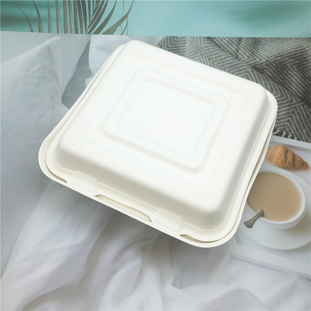 Sugarcane Bagasse Fast Food Container Box